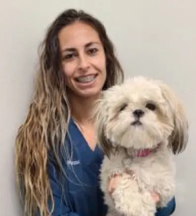 Vanessa at Channel Islands Veterinary Hospital / Las Posas Veterinary Medical Center